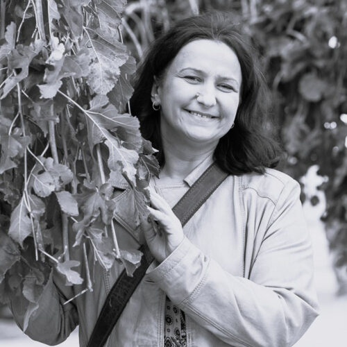 Valéria  Juríčková